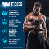 Schiffer Creatine Monohydrate Powder