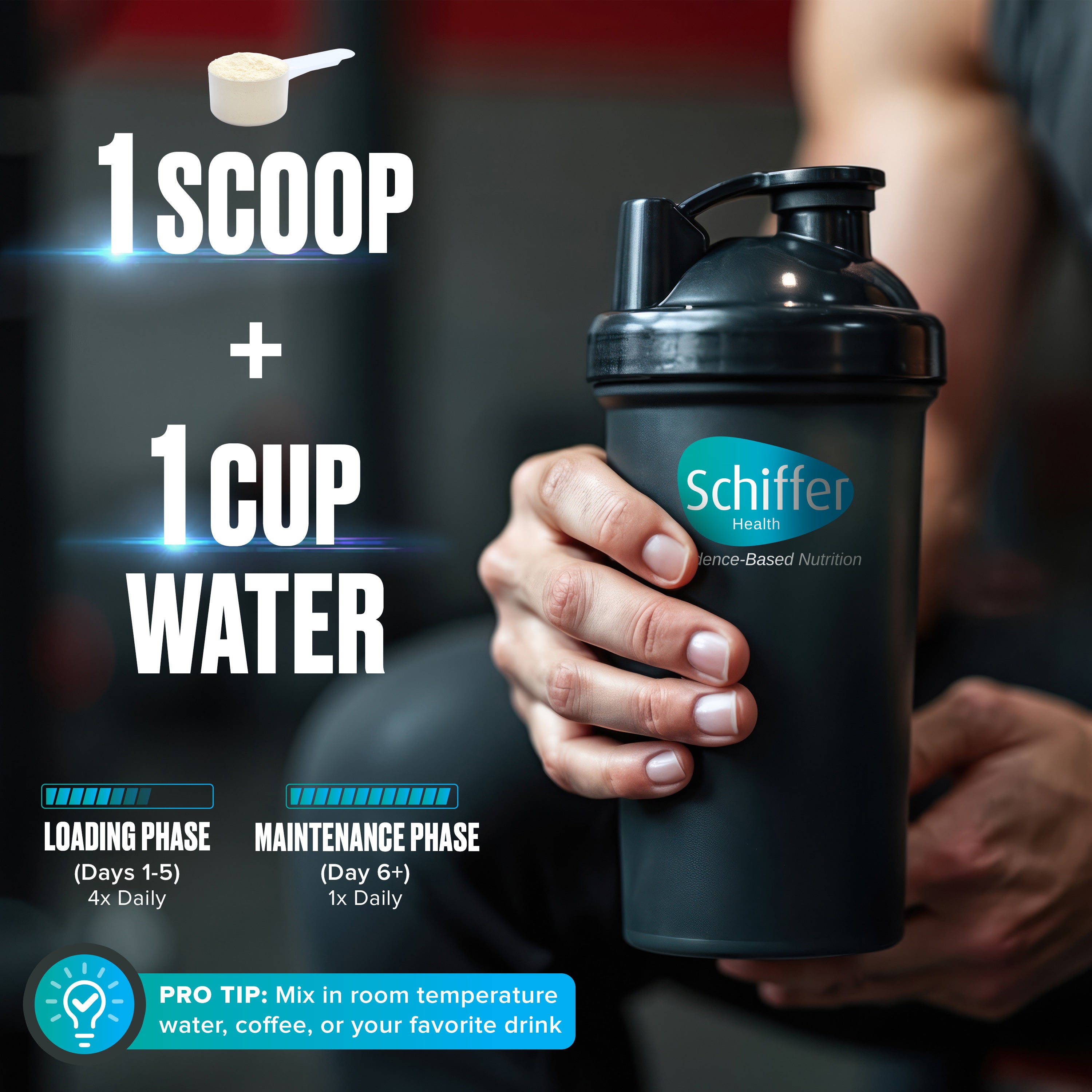 Schiffer Creatine Monohydrate Powder