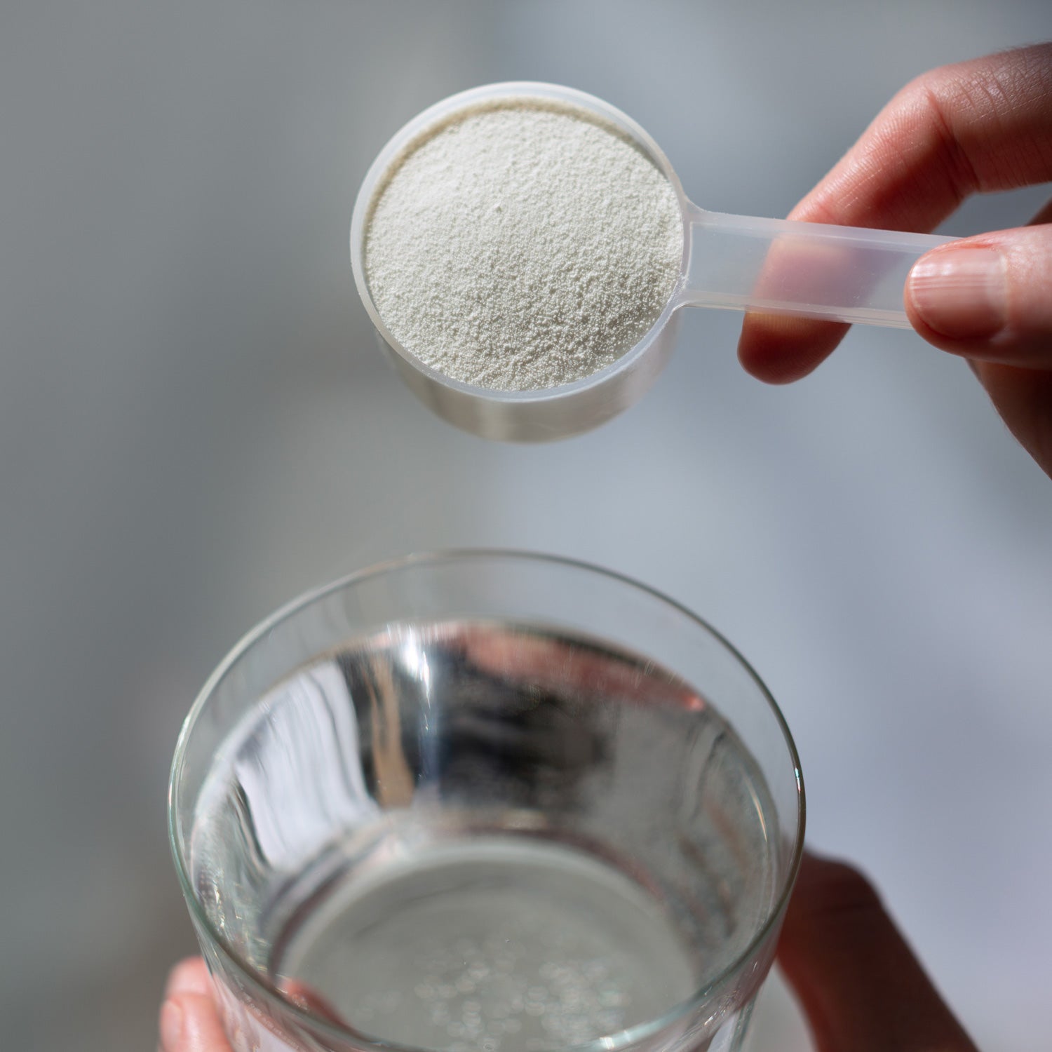 Schiffer Creatine Monohydrate Powder